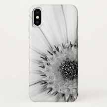 African Daisy Monochrome Floral
