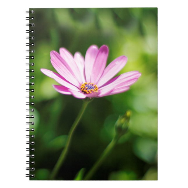 African daisy notebook (Front)