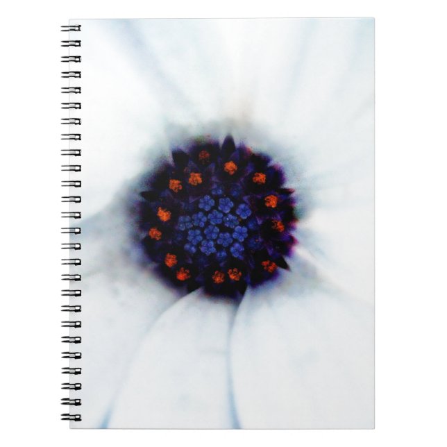 African Daisy Notebook (Front)