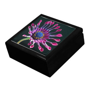 African Daisy Rose Wedding Gift Box
