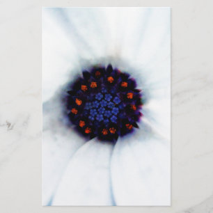 African Daisy Stationery