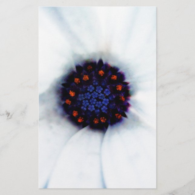 African Daisy Stationery (Front)