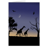 African dawn - giraffes (Front)