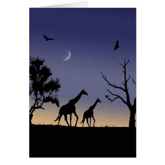 African dawn - giraffes cards (Front)