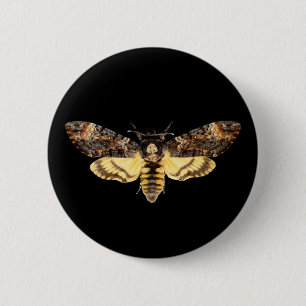 african death head moth butterfly insect Acheronti Button