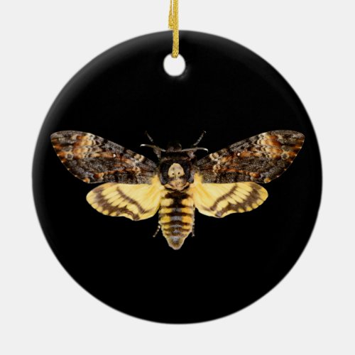 african death head moth butterfly insect Acheronti Ceramic Ornament