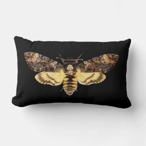 african death head moth butterfly insect Acheronti Lumbar Pillow