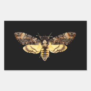 african death head moth butterfly insect Acheronti Rectangular Sticker