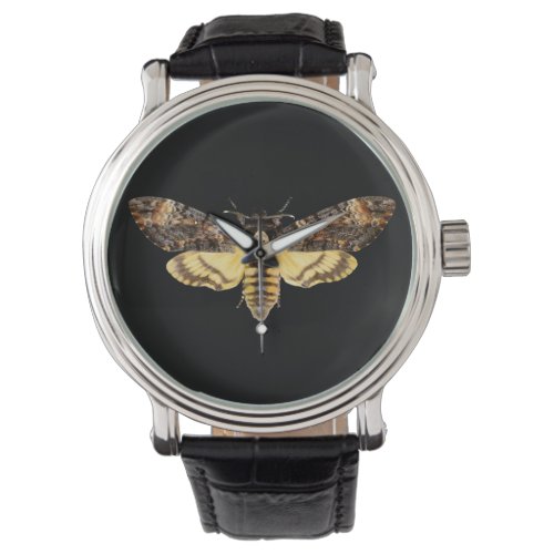 african death head moth butterfly insect Acheronti Watch