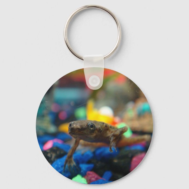 African Dwarf Frog Keychain (Front)