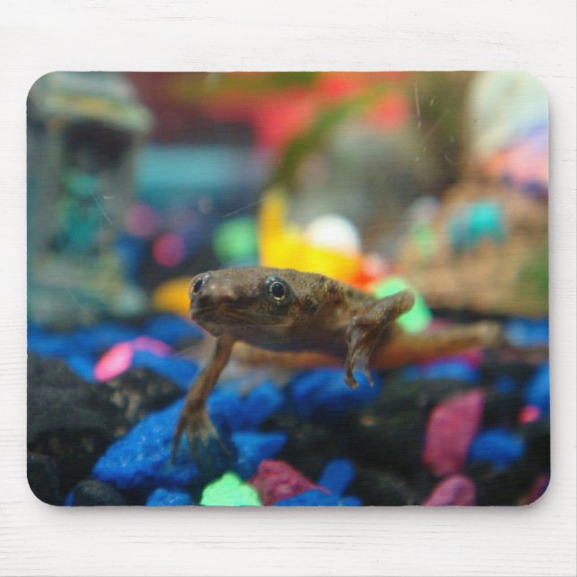 African Dwarf Frog Mouse Pad (Front)