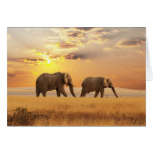African Elephant (Front Horizontal)