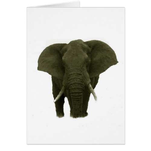 African Elephant