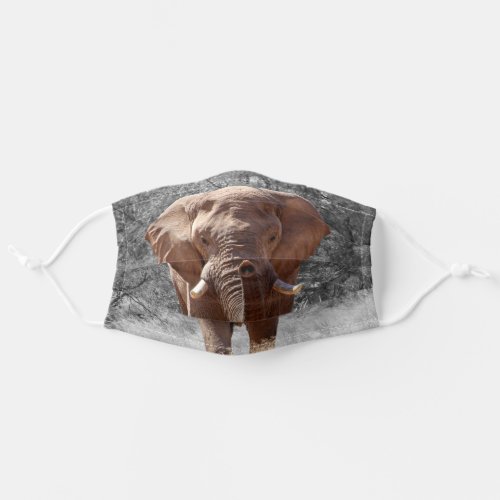 African Elephant Adult Cloth Face Mask