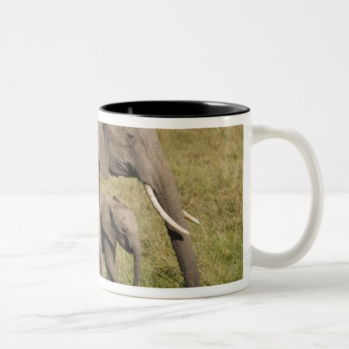 African Elephant and cub Loxodonta africana Two_Tone Coffee Mug