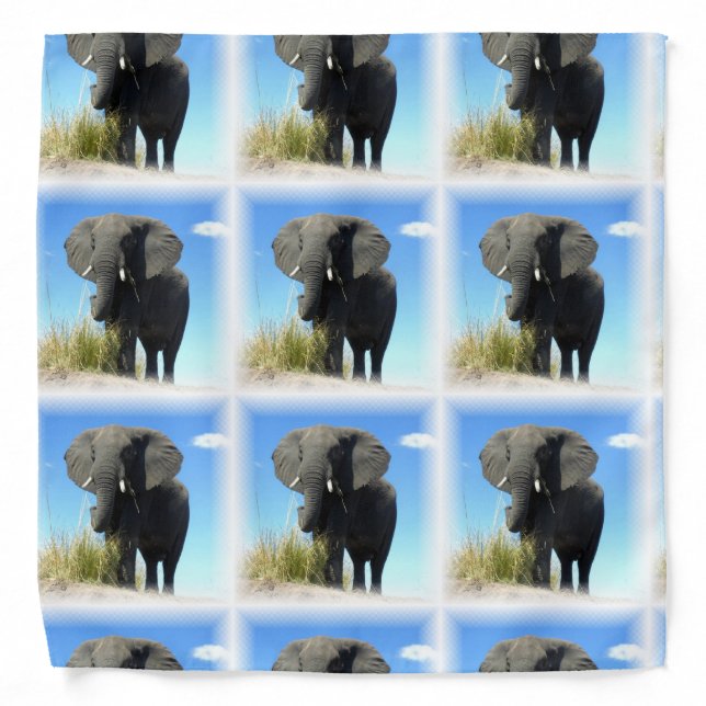 African Elephant Bandana (Front)