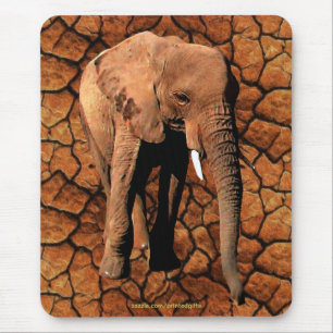 African Elephant Big Five Wildlife Animal Mousepad