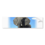 African Elephant Bumper Sticker