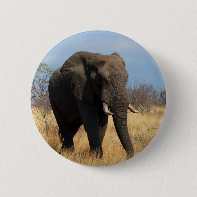 African Elephant Button (Front)