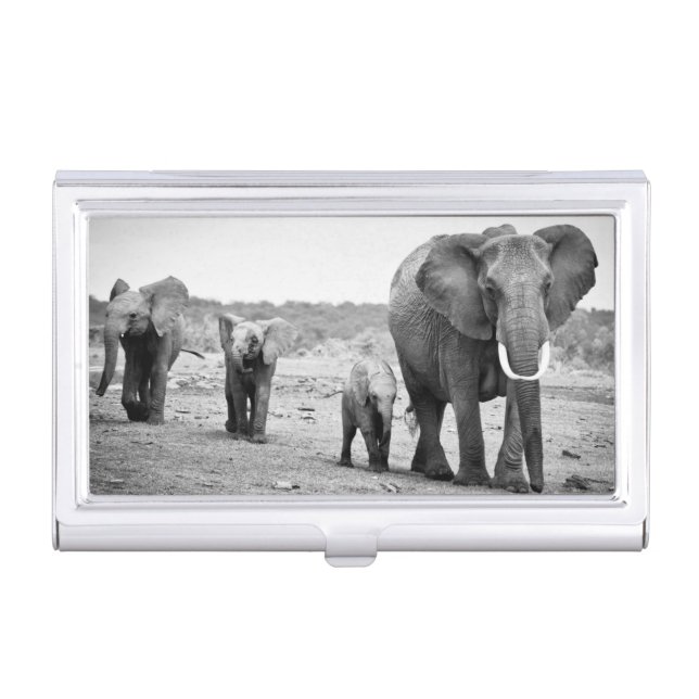 African Elephant & Calves | Kenya, Africa Business Card Holder (Front)