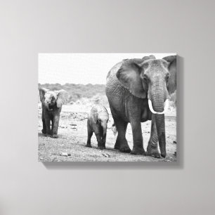 African Elephant & Calves   Kenya, Africa Canvas Print