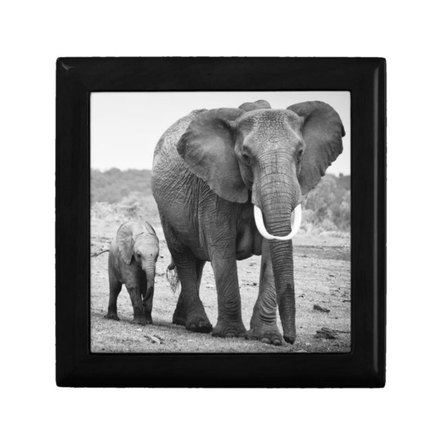 African Elephant & Calves | Kenya, Africa Keepsake Box (Front)