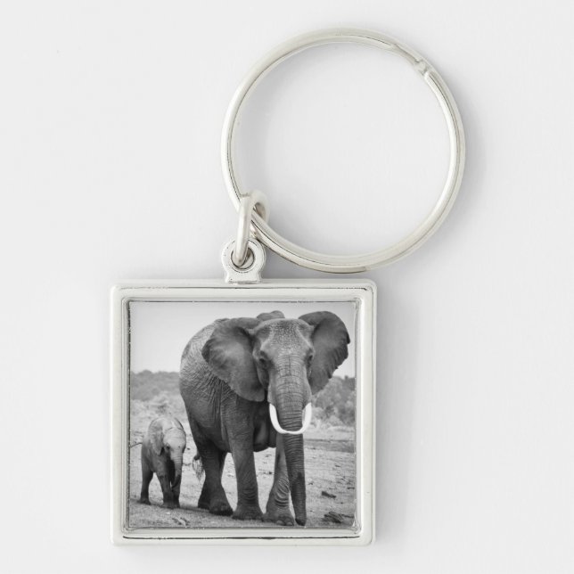 African Elephant & Calves | Kenya, Africa Keychain (Front)