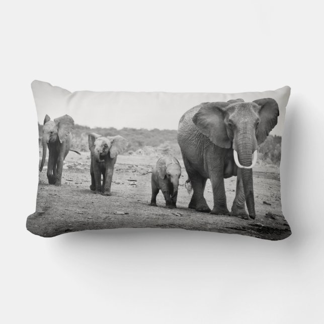 African Elephant & Calves | Kenya, Africa Lumbar Pillow (Front)