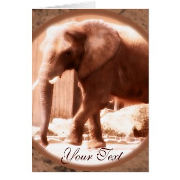 African Elephant Card by Customizables at Zazzle