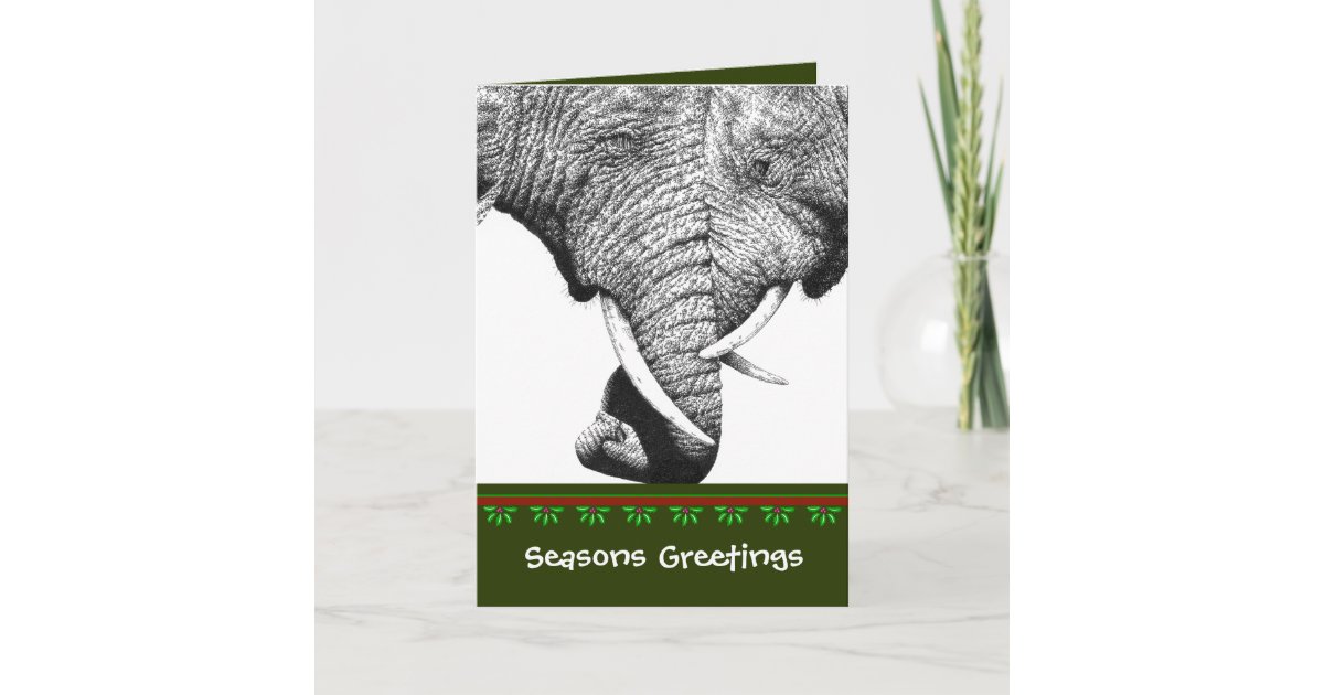 African Elephant Christmas Card