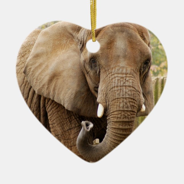 African Elephant Christmas Ornament (Front)