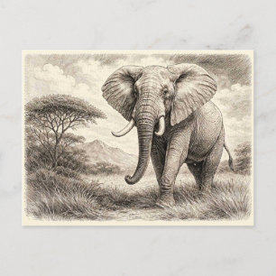 African elephant. Collectible Postcard