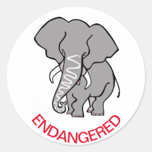 African ELEPHANT Conservation - Save Wildlife Classic Round Sticker