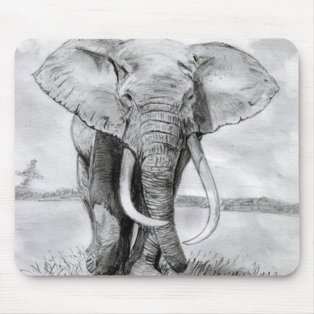 Draw an Elephant with Colored Pencils
