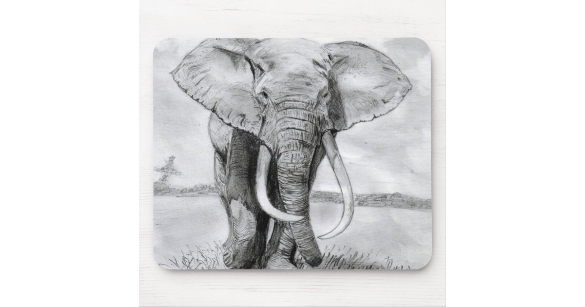 african elephant drawing in pencil design mouse pad | Zazzle