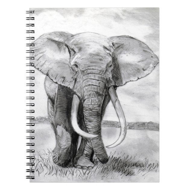 african elephant drawing in pencil design notebook | Zazzle