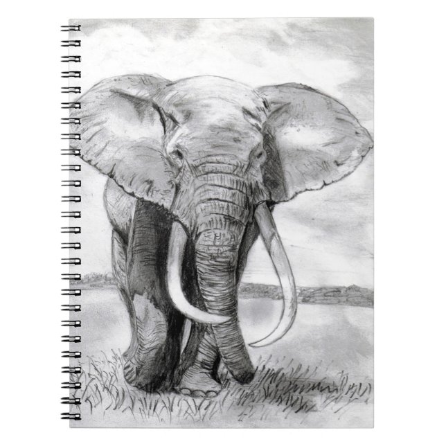 african elephant drawing in pencil design notebook (Front)