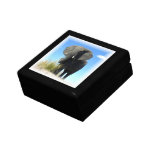 African Elephant Gift Box