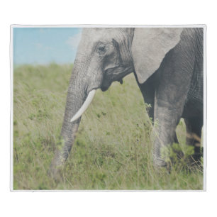 African Elephant Grassland Habitat Wildlife Print  Duvet Cover