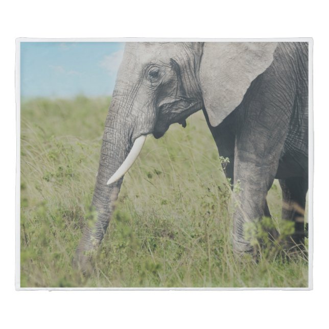 African Elephant Grassland Habitat Wildlife Print  Duvet Cover (Back)