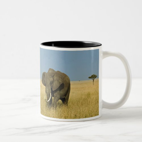 African Elephant grazing in tall summer grass Two_Tone Coffee Mug