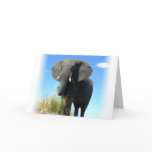 African Elephant Greeting Card