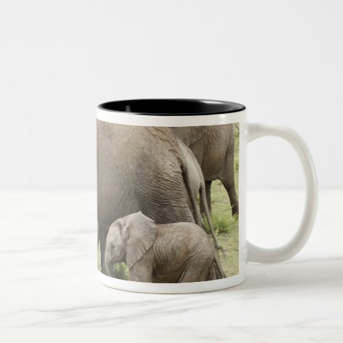 African Elephant herd Loxodonta africana 3 Two_Tone Coffee Mug