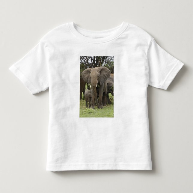African Elephant | Herd Toddler T-shirt (Front)
