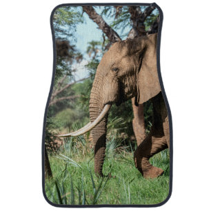 African Elephant in the Safari Car Floor Mat