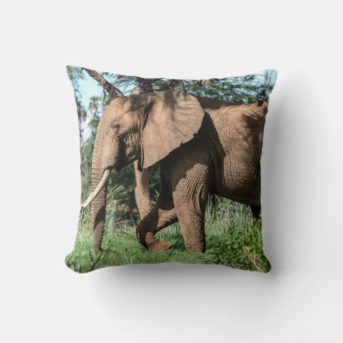 African Elephant in the Safari Throw Pillow