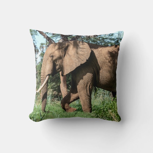 African Elephant in the Safari Throw Pillow (Front)