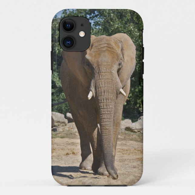 African Elephant iPhone 5 Case-Mate Case (Back)