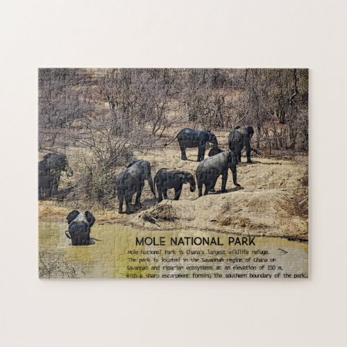 African Elephant Jigsaw puzzle