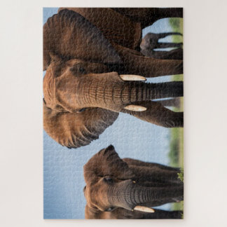 African Elephant Jigsaw Puzzle